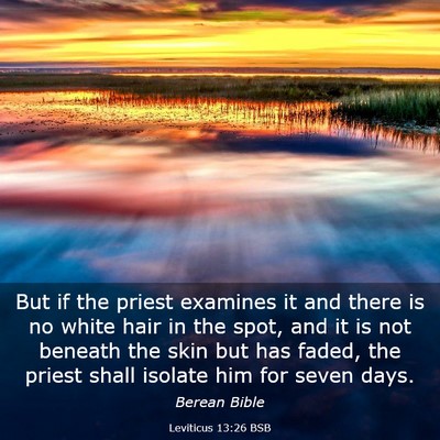 Picture 03 - Leviticus 13:26 BSB - But if the priest examines it and there is no - Bible Verse Picture