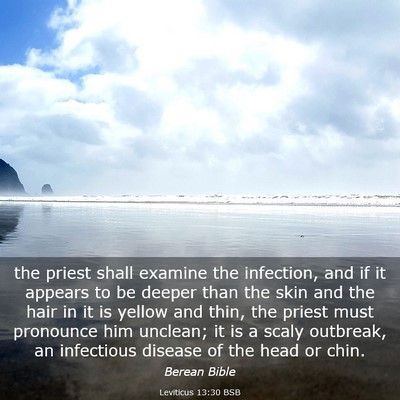 Picture 03 - Leviticus 13:30 BSB - the priest shall examine the infection, and if it - Bible Verse Picture
