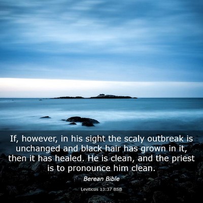 Picture 03 - Leviticus 13:37 BSB - If, however, in his sight the scaly outbreak is - Bible Verse Picture