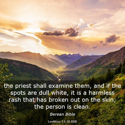 Picture 03 - Leviticus 13:39 BSB - the priest shall examine them, and if the spots - Bible Verse Picture