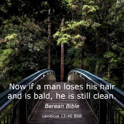 Picture 03 - Leviticus 13:40 BSB - Now if a man loses his hair and is bald, he is - Bible Verse Picture
