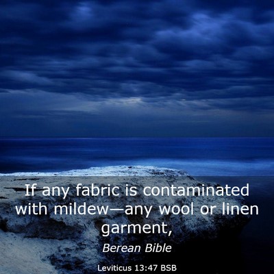 Picture 03 - Leviticus 13:47 BSB - If any fabric is contaminated with mildew—any - Bible Verse Picture