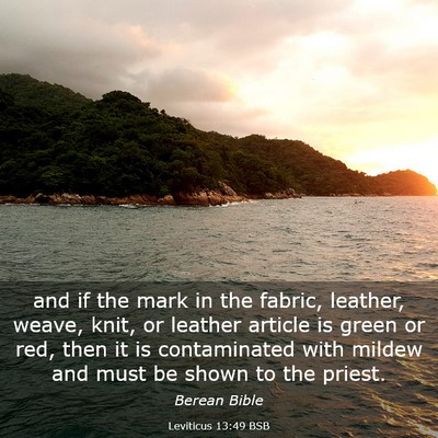 Picture 03 - Leviticus 13:49 BSB - and if the mark in the fabric, leather, weave, - Bible Verse Picture