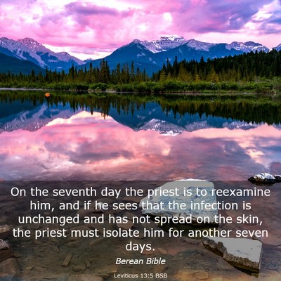 Picture 03 - Leviticus 13:5 BSB - On the seventh day the priest is to reexamine - Bible Verse Picture