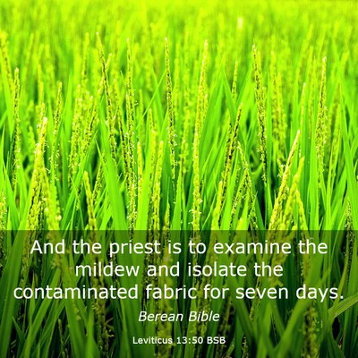 Picture 03 - Leviticus 13:50 BSB - And the priest is to examine the mildew and - Bible Verse Picture