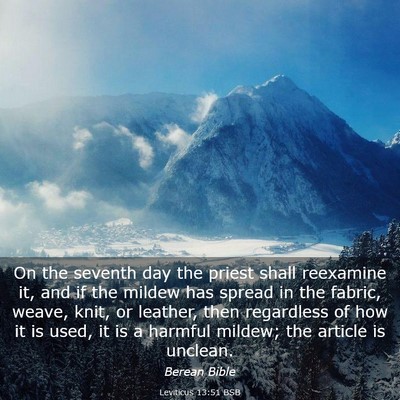 Picture 03 - Leviticus 13:51 BSB - On the seventh day the priest shall reexamine it, - Bible Verse Picture