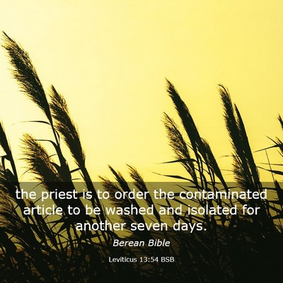 Picture 03 - Leviticus 13:54 BSB - the priest is to order the contaminated article - Bible Verse Picture