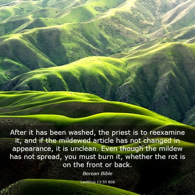 Picture 03 - Leviticus 13:55 BSB - After it has been washed, the priest is to - Bible Verse Picture