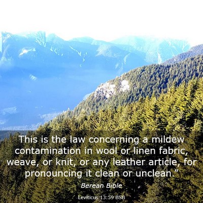 Picture 03 - Leviticus 13:59 BSB - This is the law concerning a mildew contamination - Bible Verse Picture