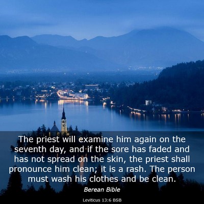 Picture 03 - Leviticus 13:6 BSB - The priest will examine him again on the seventh - Bible Verse Picture