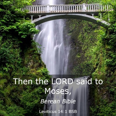 Picture 03 - Leviticus 14:1 BSB - Then the LORD said to - Bible Verse Picture