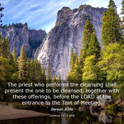 Picture 03 - Leviticus 14:11 BSB - The priest who performs the cleansing shall - Bible Verse Picture