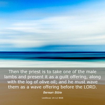 Picture 03 - Leviticus 14:12 BSB - Then the priest is to take one of the male lambs - Bible Verse Picture