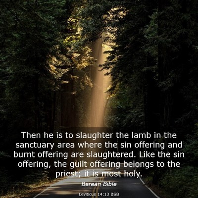 Picture 03 - Leviticus 14:13 BSB - Then he is to slaughter the lamb in the sanctuary - Bible Verse Picture