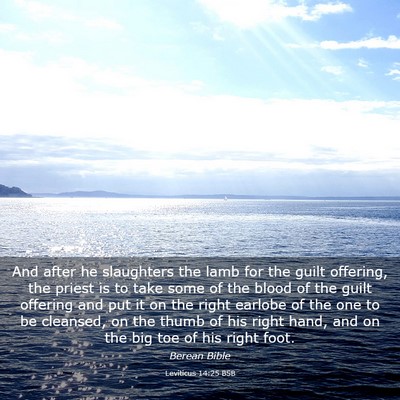 Picture 03 - Leviticus 14:25 BSB - And after he slaughters the lamb for the guilt - Bible Verse Picture