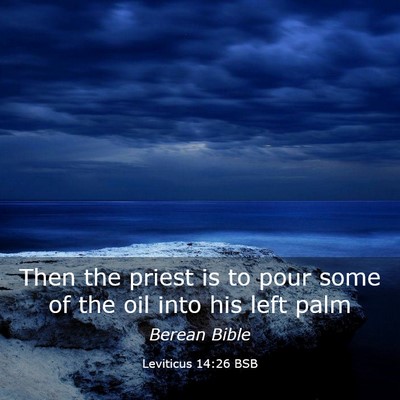 Picture 03 - Leviticus 14:26 BSB - Then the priest is to pour some of the oil into - Bible Verse Picture