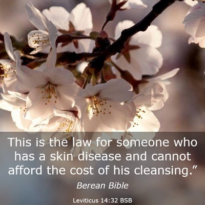Picture 03 - Leviticus 14:32 BSB - This is the law for someone who has a skin - Bible Verse Picture