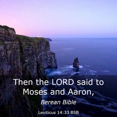 Picture 03 - Leviticus 14:33 BSB - Then the LORD said to Moses and - Bible Verse Picture