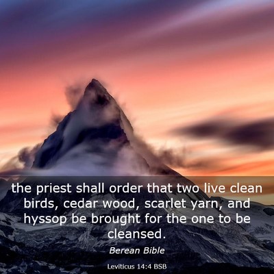 Picture 03 - Leviticus 14:4 BSB - the priest shall order that two live clean birds, - Bible Verse Picture