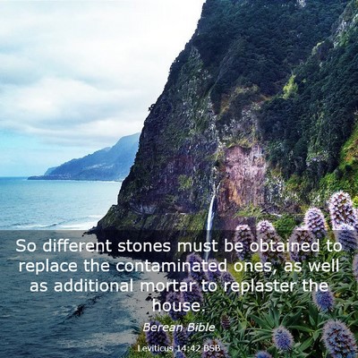 Picture 03 - Leviticus 14:42 BSB - So different stones must be obtained to replace - Bible Verse Picture