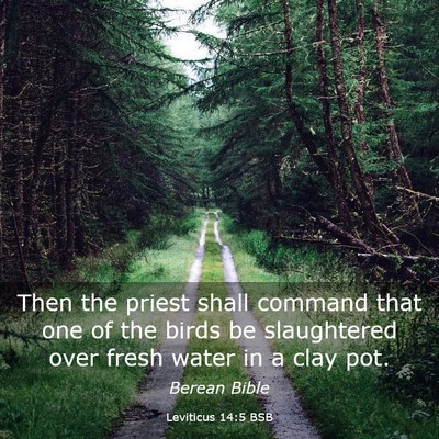 Picture 03 - Leviticus 14:5 BSB - Then the priest shall command that one of the - Bible Verse Picture