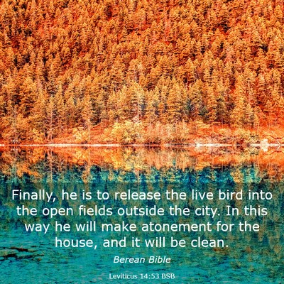 Picture 03 - Leviticus 14:53 BSB - Finally, he is to release the live bird into the - Bible Verse Picture