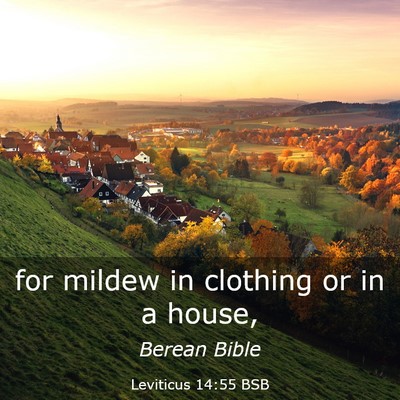 Picture 03 - Leviticus 14:55 BSB - for mildew in clothing or in a - Bible Verse Picture