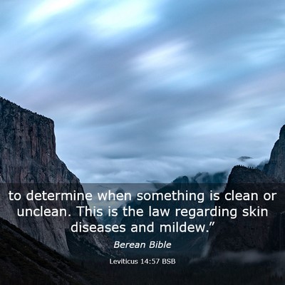 Picture 03 - Leviticus 14:57 BSB - to determine when something is clean or unclean. - Bible Verse Picture