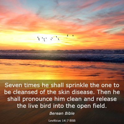 Picture 03 - Leviticus 14:7 BSB - Seven times he shall sprinkle the one to be - Bible Verse Picture