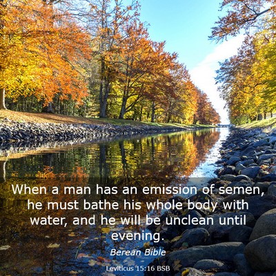 Picture 03 - Leviticus 15:16 BSB - When a man has an emission of semen, he must - Bible Verse Picture