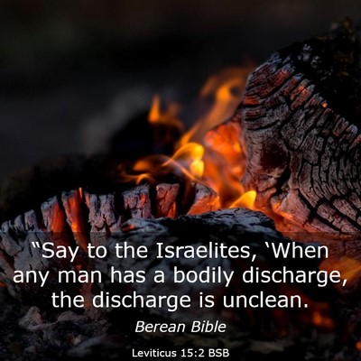 Picture 03 - Leviticus 15:2 BSB - “Say to the Israelites, ‘When any man has a - Bible Verse Picture