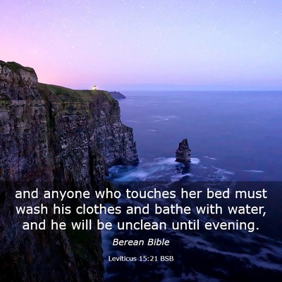 Picture 03 - Leviticus 15:21 BSB - and anyone who touches her bed must wash his - Bible Verse Picture