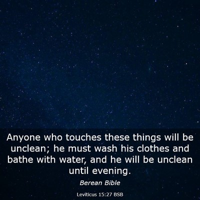 Picture 03 - Leviticus 15:27 BSB - Anyone who touches these things will be unclean; - Bible Verse Picture