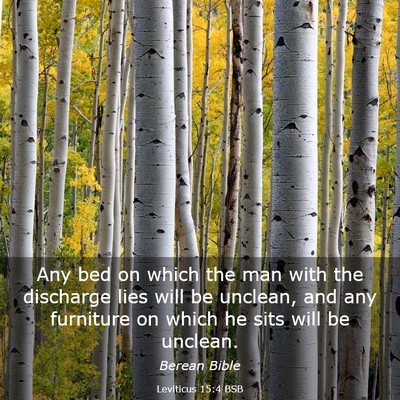 Picture 03 - Leviticus 15:4 BSB - Any bed on which the man with the discharge lies - Bible Verse Picture