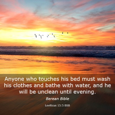 Picture 03 - Leviticus 15:5 BSB - Anyone who touches his bed must wash his clothes - Bible Verse Picture