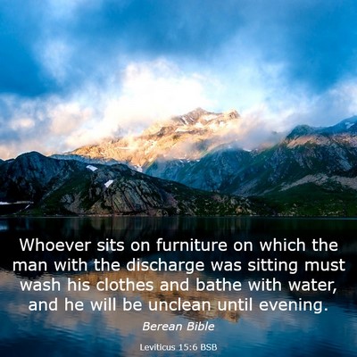 Picture 03 - Leviticus 15:6 BSB - Whoever sits on furniture on which the man with - Bible Verse Picture