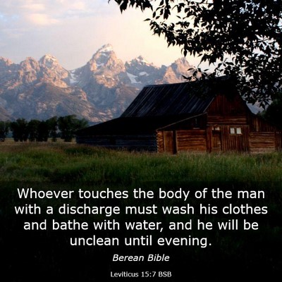 Picture 03 - Leviticus 15:7 BSB - Whoever touches the body of the man with a - Bible Verse Picture
