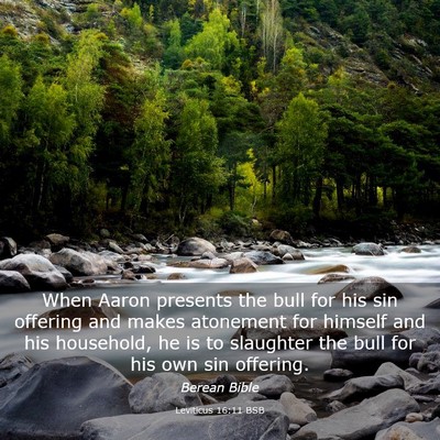 Picture 03 - Leviticus 16:11 BSB - When Aaron presents the bull for his sin offering - Bible Verse Picture