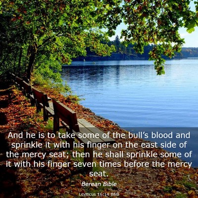 Picture 03 - Leviticus 16:14 BSB - And he is to take some of the bull’s blood and - Bible Verse Picture