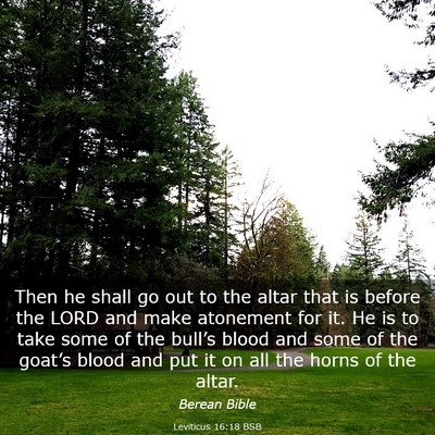 Picture 03 - Leviticus 16:18 BSB - Then he shall go out to the altar that is before - Bible Verse Picture