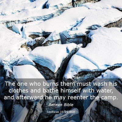 Picture 03 - Leviticus 16:28 BSB - The one who burns them must wash his clothes and - Bible Verse Picture