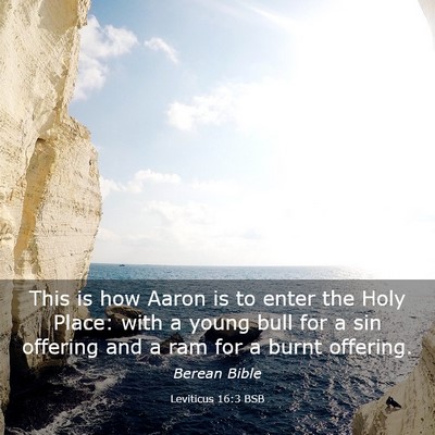 Picture 03 - Leviticus 16:3 BSB - This is how Aaron is to enter the Holy Place: - Bible Verse Picture