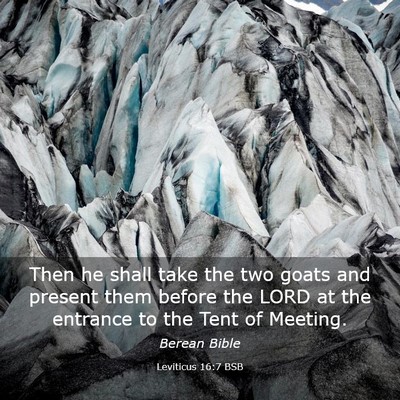 Picture 03 - Leviticus 16:7 BSB - Then he shall take the two goats and present them - Bible Verse Picture
