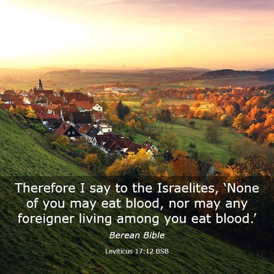 Picture 03 - Leviticus 17:12 BSB - Therefore I say to the Israelites, ‘None of you - Bible Verse Picture
