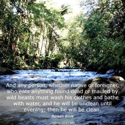 Picture 03 - Leviticus 17:15 BSB - And any person, whether native or foreigner, who - Bible Verse Picture