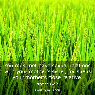 Picture 03 - Leviticus 18:13 BSB - You must not have sexual relations with your - Bible Verse Picture