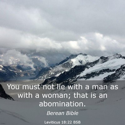 Picture 03 - Leviticus 18:22 BSB - You must not lie with a man as with a woman; that - Bible Verse Picture