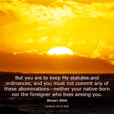 Picture 03 - Leviticus 18:26 BSB - But you are to keep My statutes and ordinances, - Bible Verse Picture