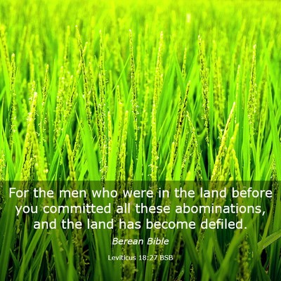 Picture 03 - Leviticus 18:27 BSB - For the men who were in the land before you - Bible Verse Picture