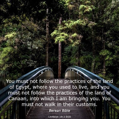 Picture 03 - Leviticus 18:3 BSB - You must not follow the practices of the land of - Bible Verse Picture